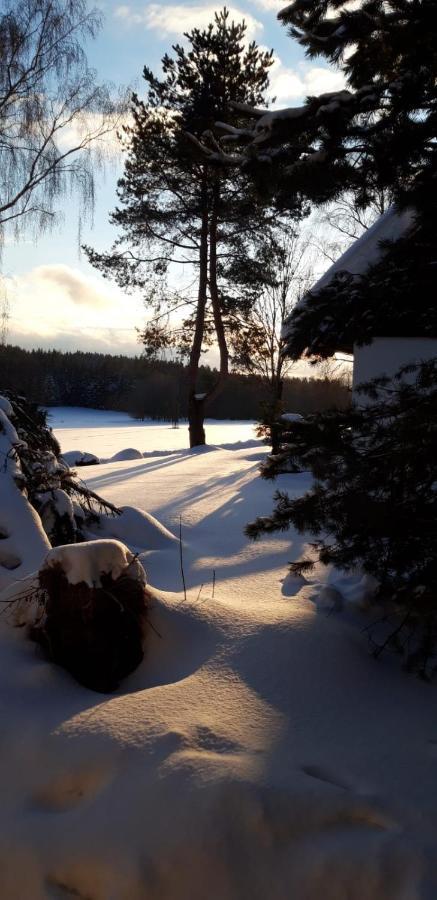 Apartman Jafi Lipno Nad Vltavou Dış mekan fotoğraf