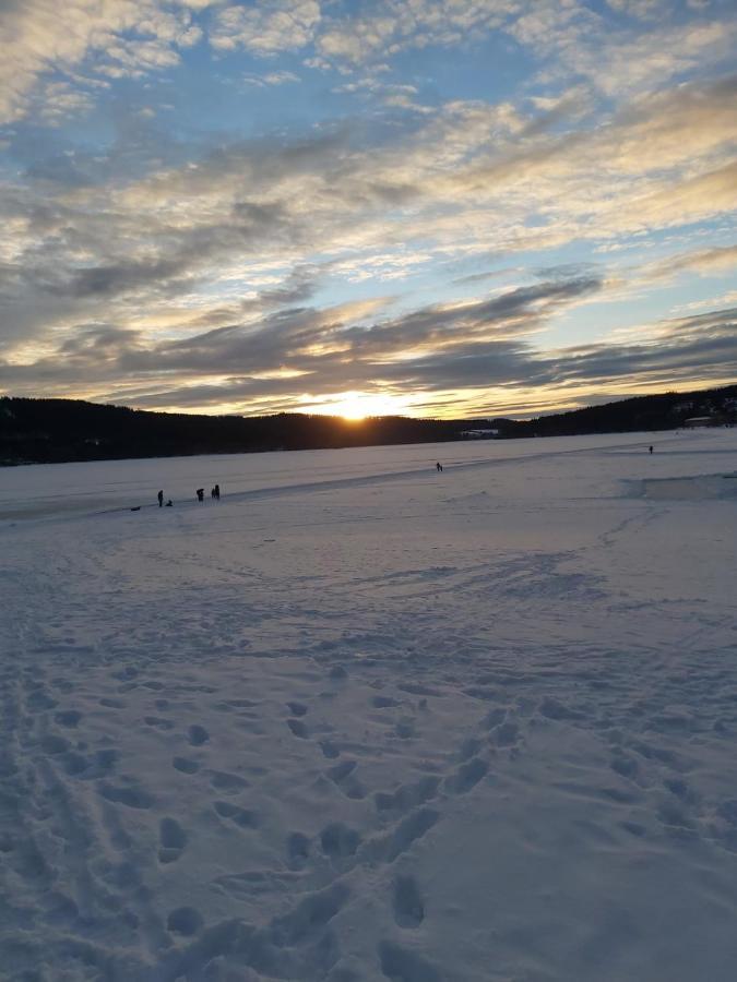 Apartman Jafi Lipno Nad Vltavou Dış mekan fotoğraf