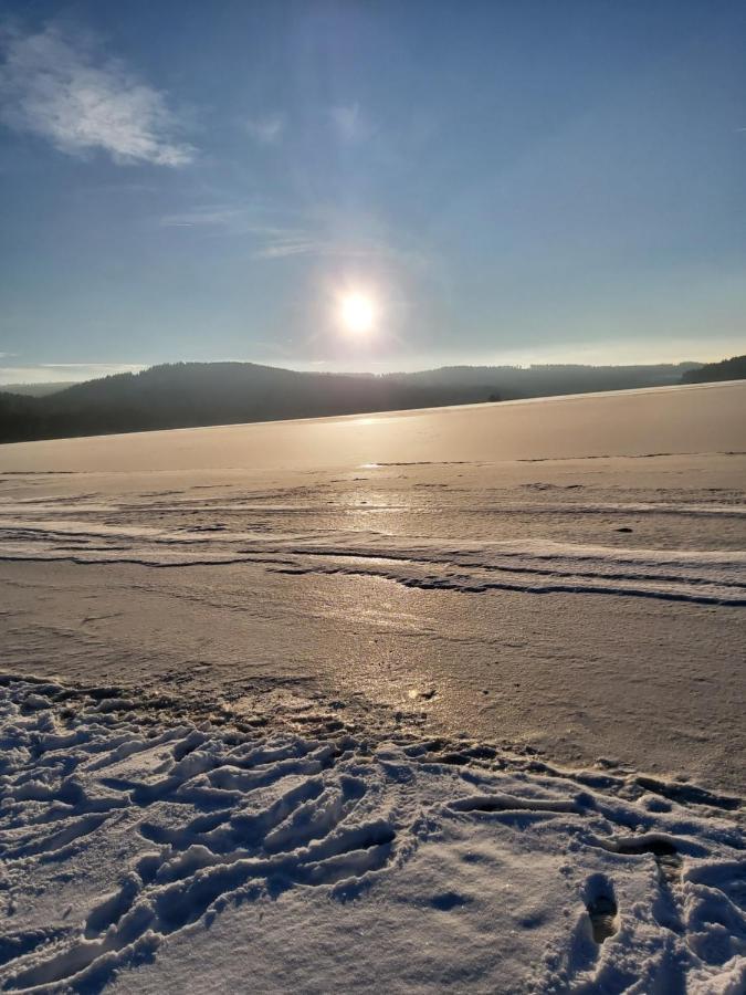 Apartman Jafi Lipno Nad Vltavou Dış mekan fotoğraf