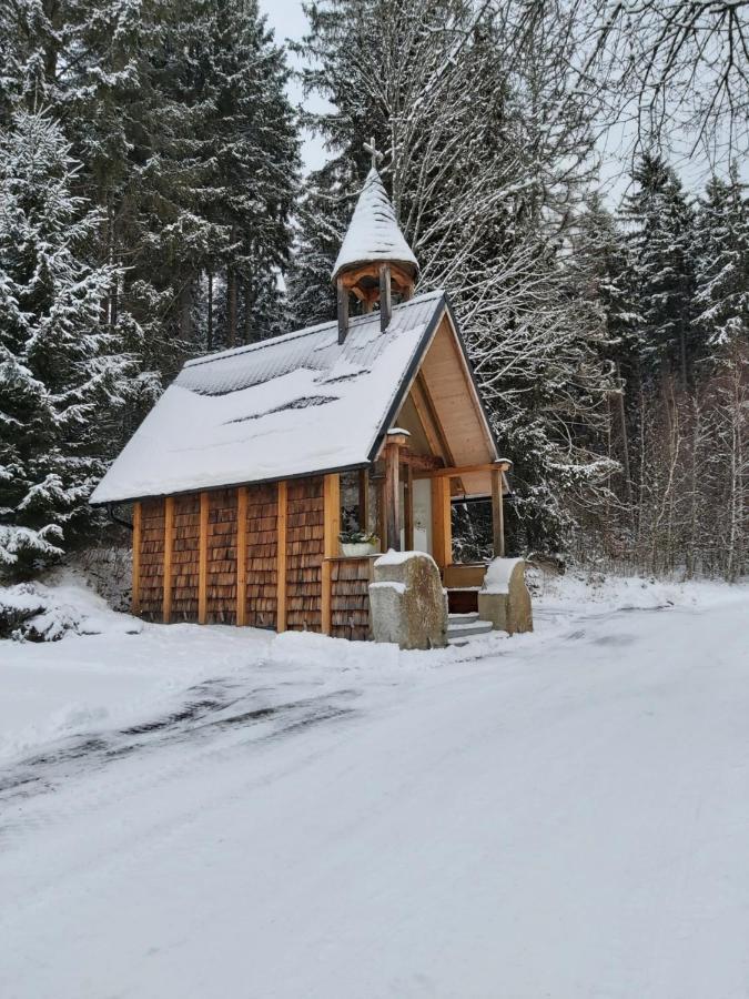 Apartman Jafi Lipno Nad Vltavou Dış mekan fotoğraf
